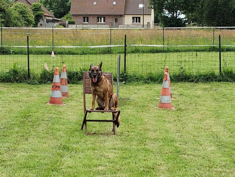 Gite Au Ptit Canin Moyenneville  Exterior foto